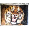 Animal Tiger Oil Painting (Dw0032)